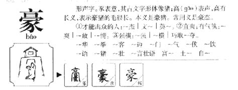 豪字五行|豪字五行属什么